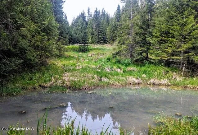 NKa Gold Ridge Road St. Maries, ID 83861