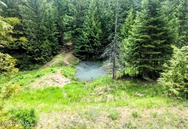 NKa Gold Ridge Road St. Maries, ID 83861