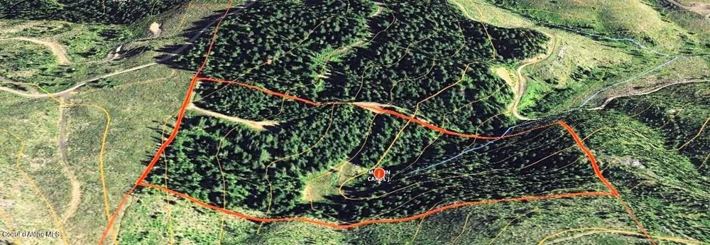NKa Gold Ridge Road St. Maries, ID 83861