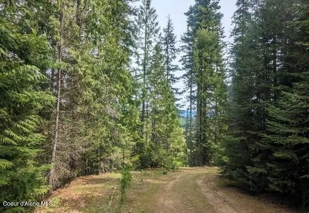 NKa Gold Ridge Road St. Maries, ID 83861