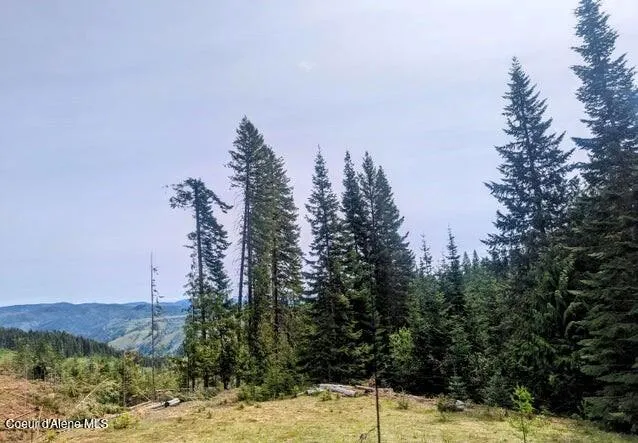 NKa Gold Ridge Road St. Maries, ID 83861