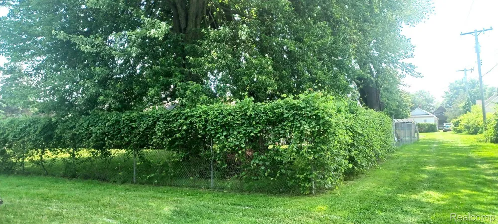 9999 24th St. Port Huron Charter Township, MI 48060