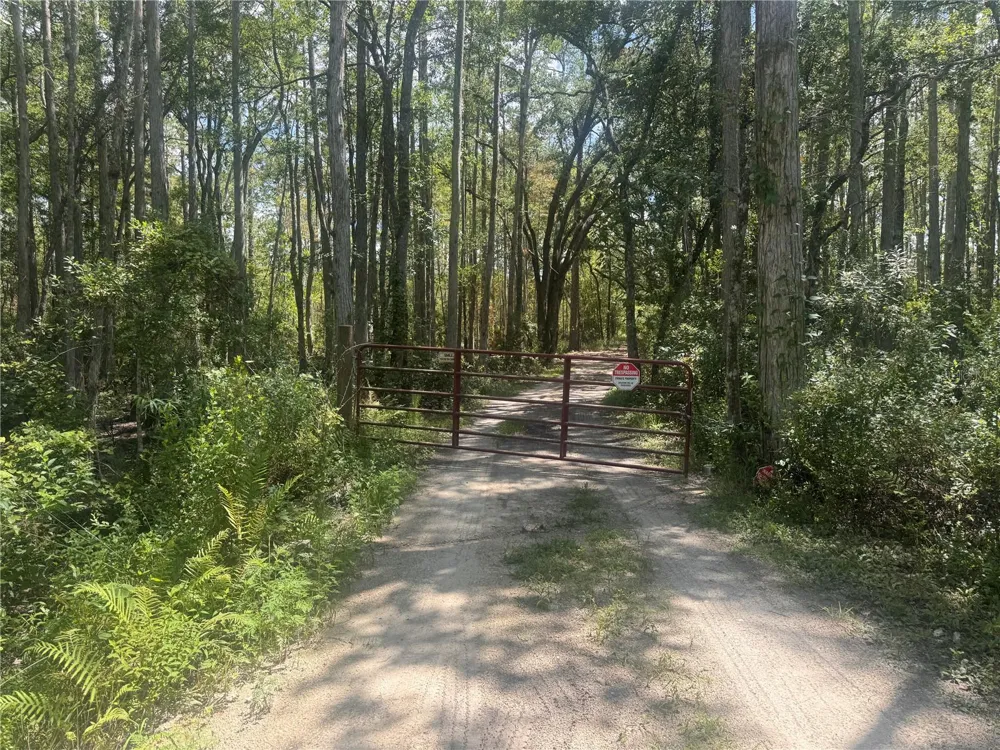 4678 GUM ROAD New Smyrna Beach, FL 32168