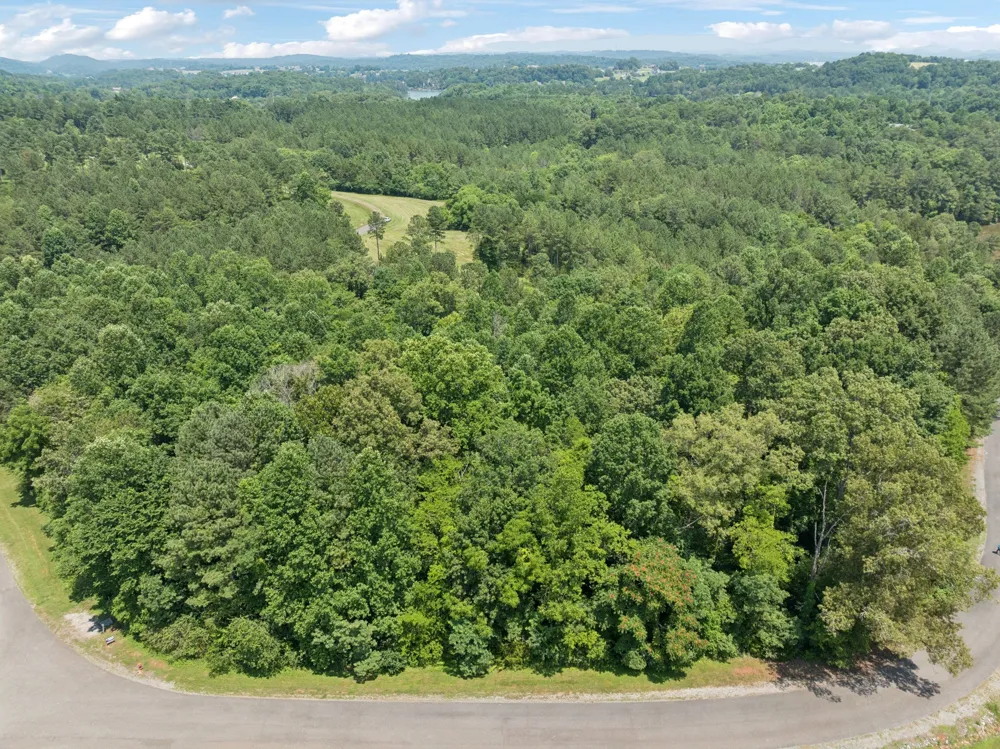 0 Wilderness Dr Vonore, TN 37885