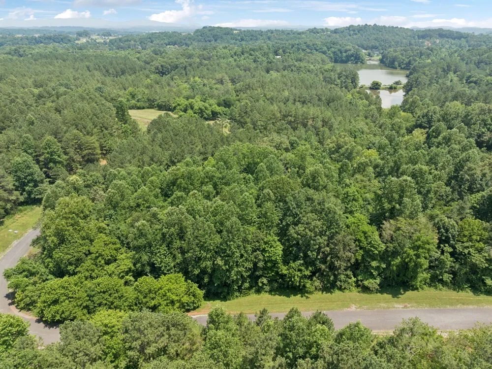 0 Wilderness Dr Vonore, TN 37885