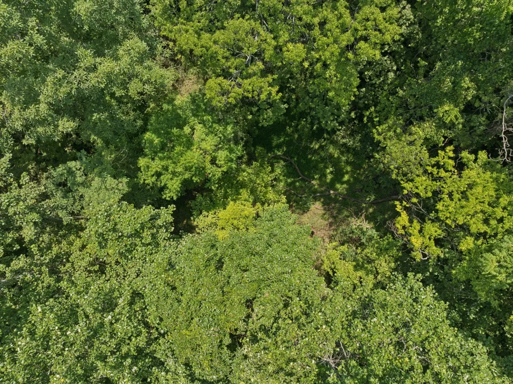 0 Wilderness Dr Vonore, TN 37885