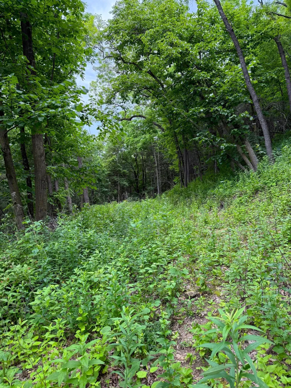 W12412 State Highway 35 Stockholm, WI 54769
