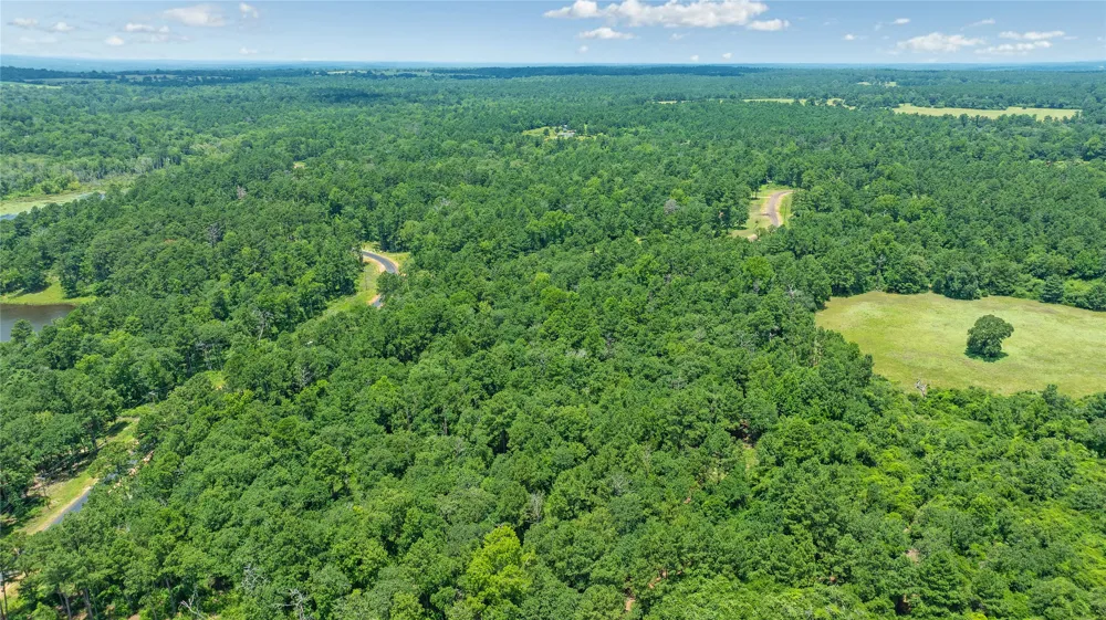 PR 1314 Centerville, TX 75833