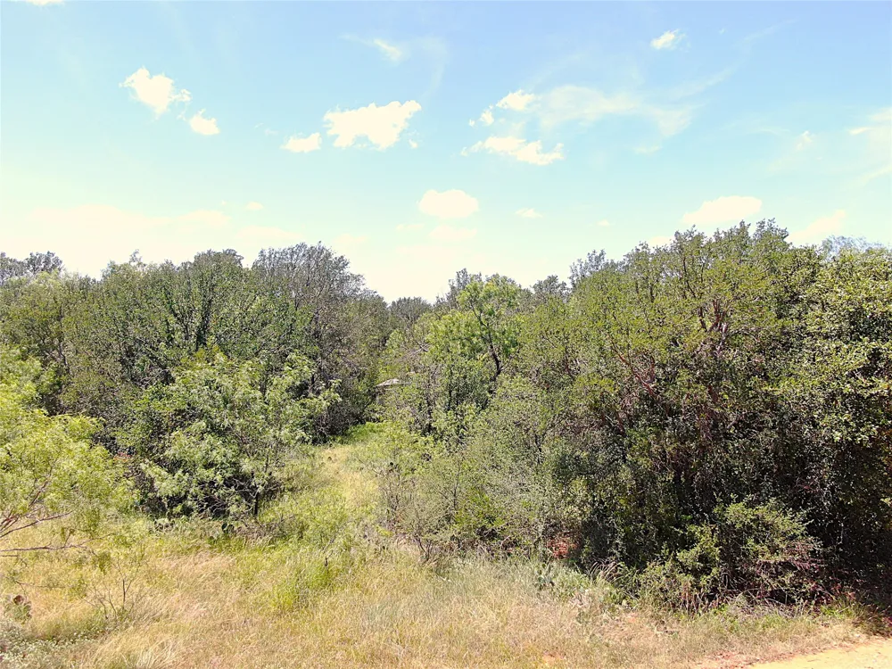 1921 Fm 2126 Early, TX 76802