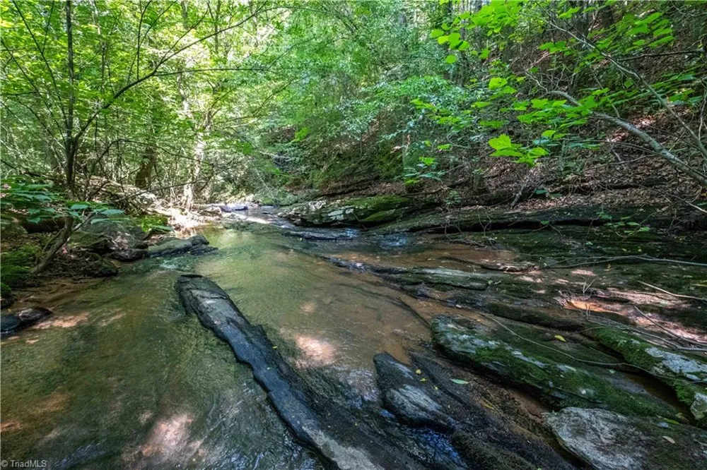 12604 NC Highway 268 Elkin, NC 28621