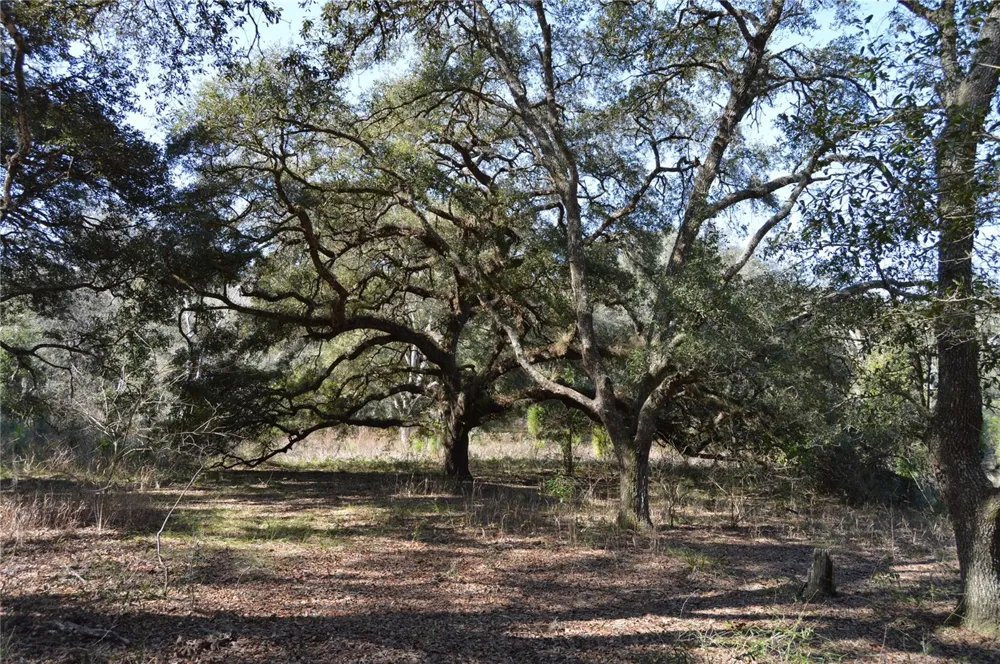 00 UNNAMED Spring Hill, FL 34610