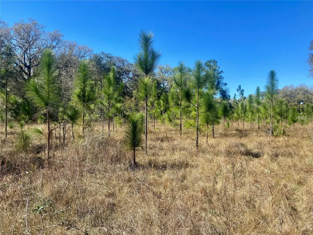 00 UNNAMED Spring Hill, FL 34610