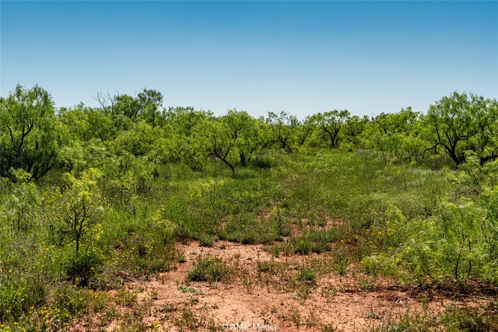 FM 600 Haskell, TX 79521
