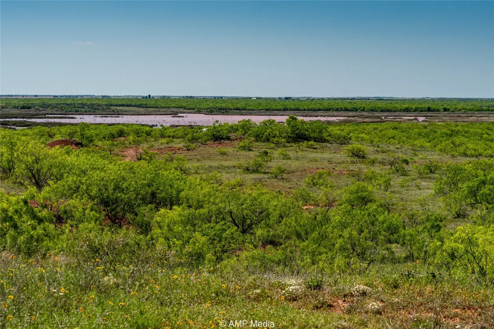 FM 600 Haskell, TX 79521