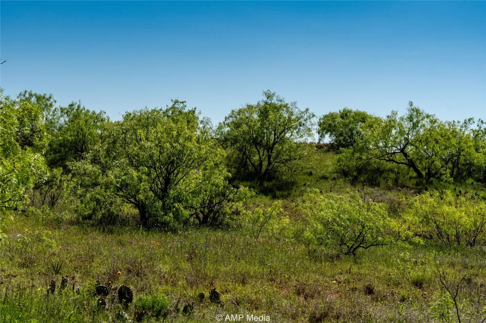 FM 600 Haskell, TX 79521