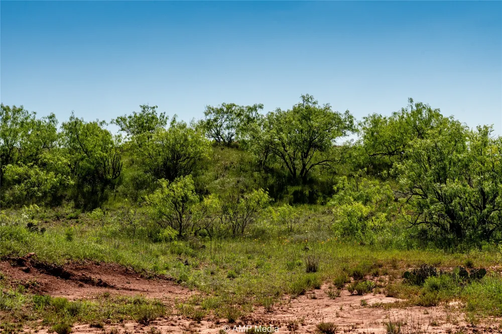 FM 600 Haskell, TX 79521