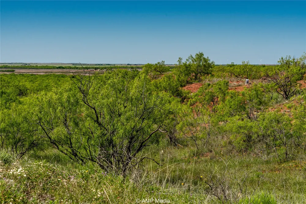FM 600 Haskell, TX 79521