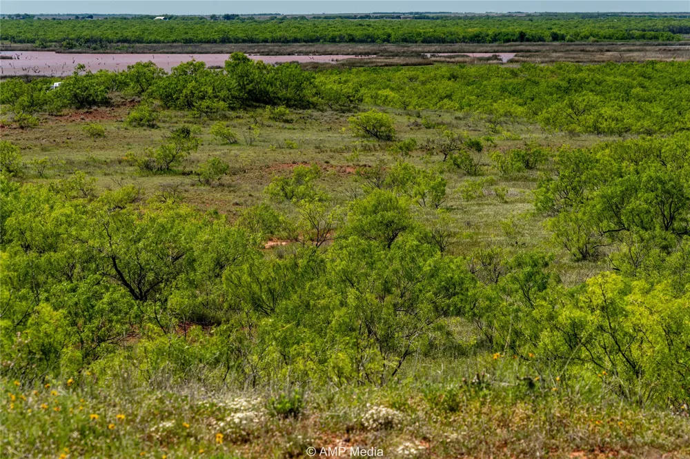 FM 600 Haskell, TX 79521