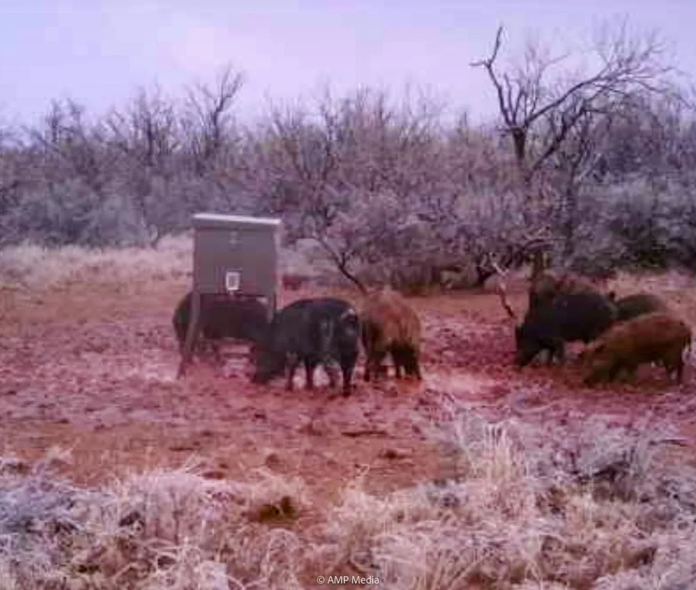 FM 600 Haskell, TX 79521