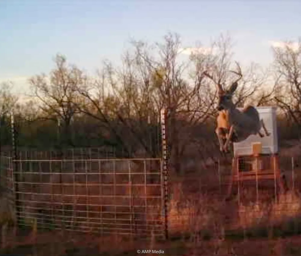 FM 600 Haskell, TX 79521