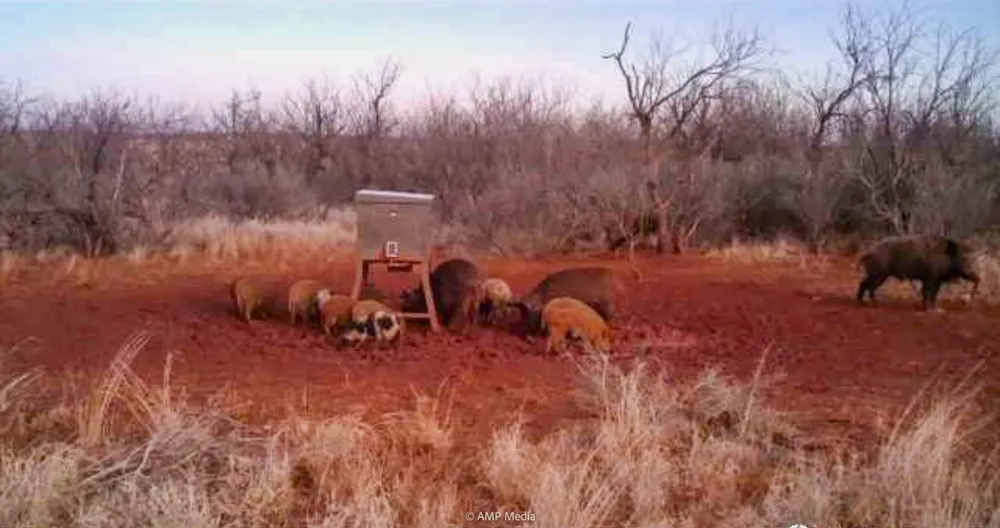 FM 600 Haskell, TX 79521