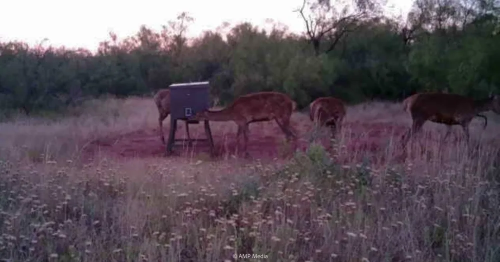 FM 600 Haskell, TX 79521