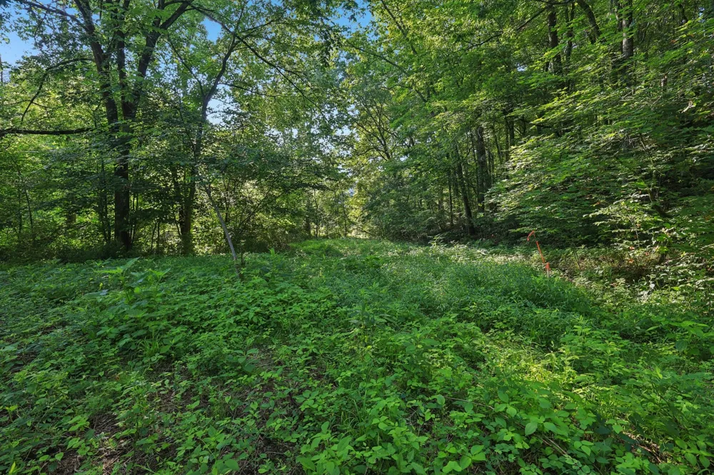 2326 Fairfield Rd Westmoreland, TN 37186