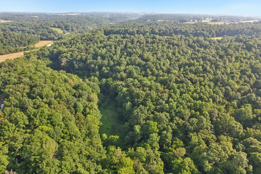 2326 Fairfield Rd Westmoreland, TN 37186
