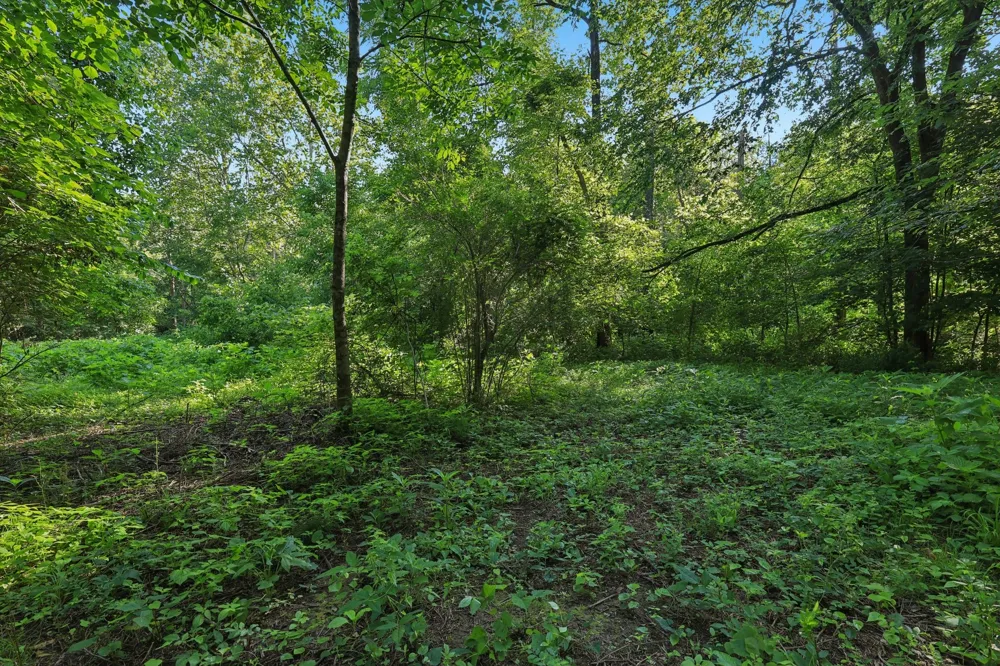 2326 Fairfield Rd Westmoreland, TN 37186