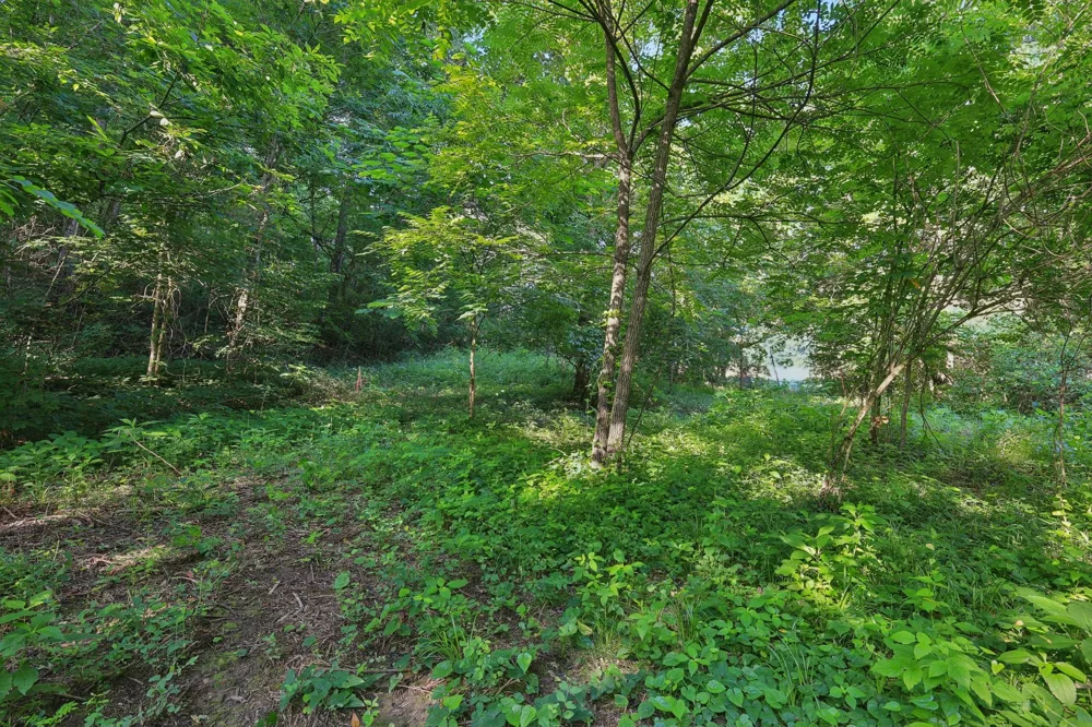 2326 Fairfield Rd Westmoreland, TN 37186