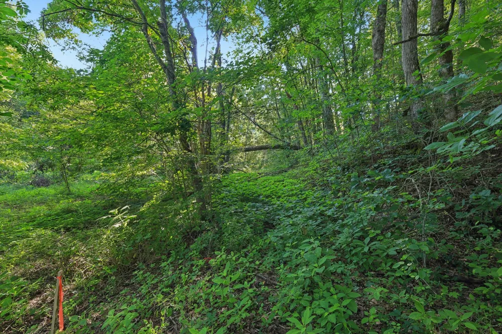 2326 Fairfield Rd Westmoreland, TN 37186
