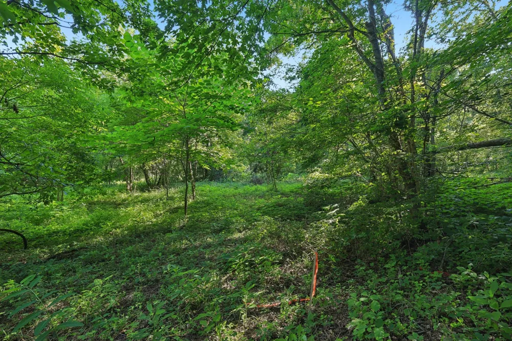 2326 Fairfield Rd Westmoreland, TN 37186