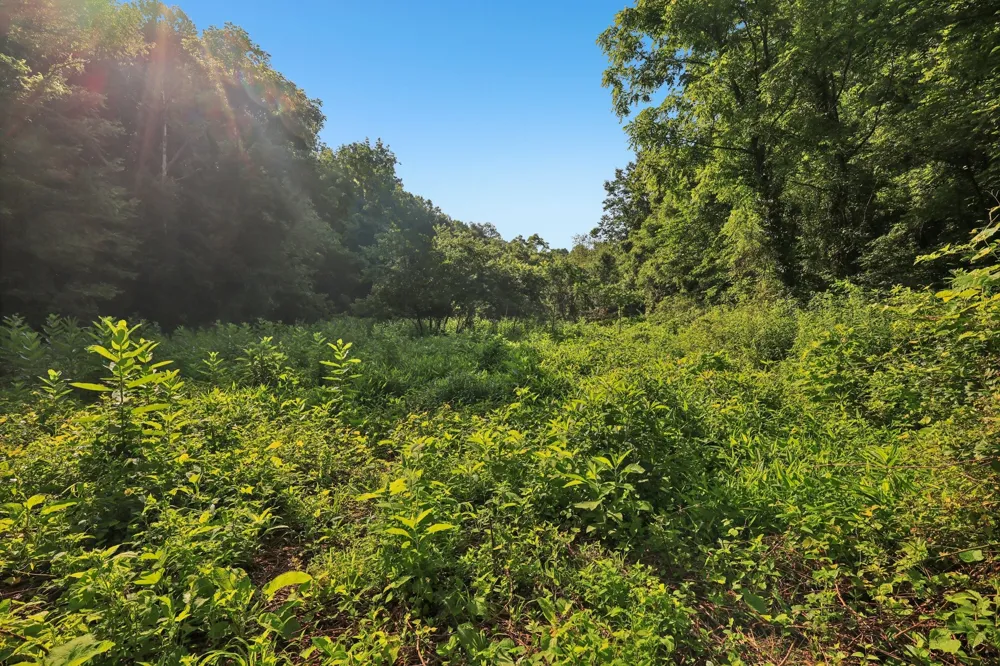 2326 Fairfield Rd Westmoreland, TN 37186
