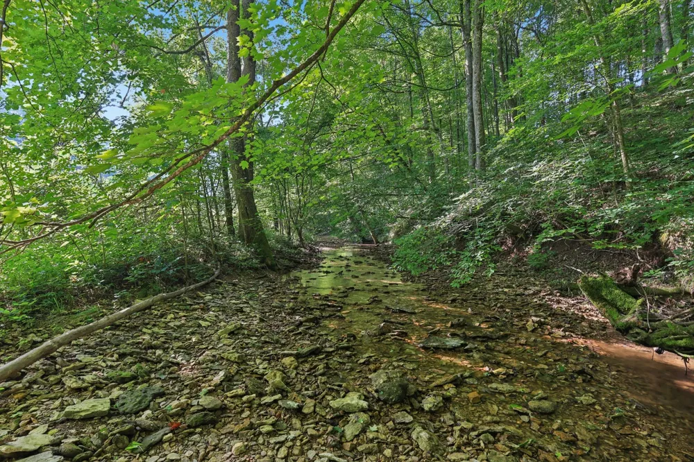 2326 Fairfield Rd Westmoreland, TN 37186