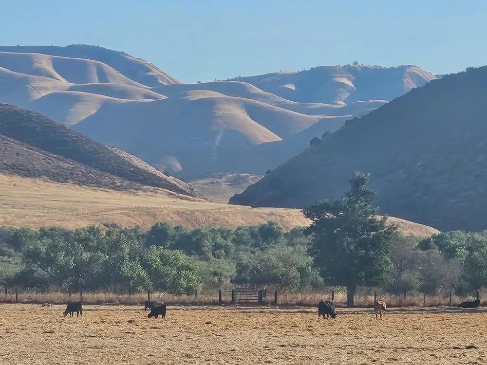 54800 Lonoak Road King City, CA 93930