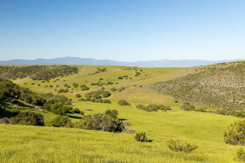54800 Lonoak Road King City, CA 93930
