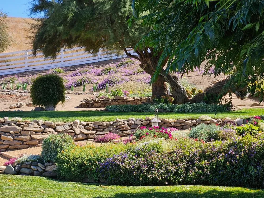 54800 Lonoak Road King City, CA 93930
