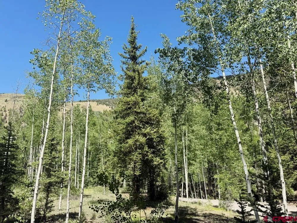 2621 Silver Coin Lane Lake City, CO 81235