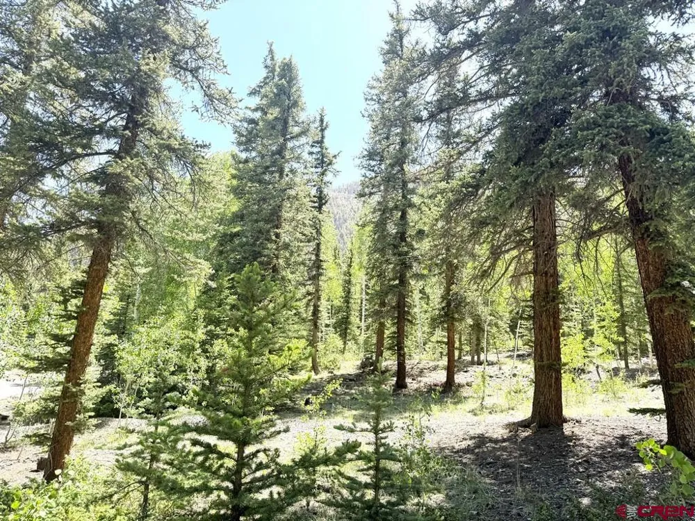2621 Silver Coin Lane Lake City, CO 81235