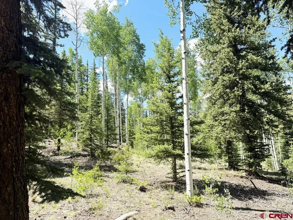 2621 Silver Coin Lane Lake City, CO 81235