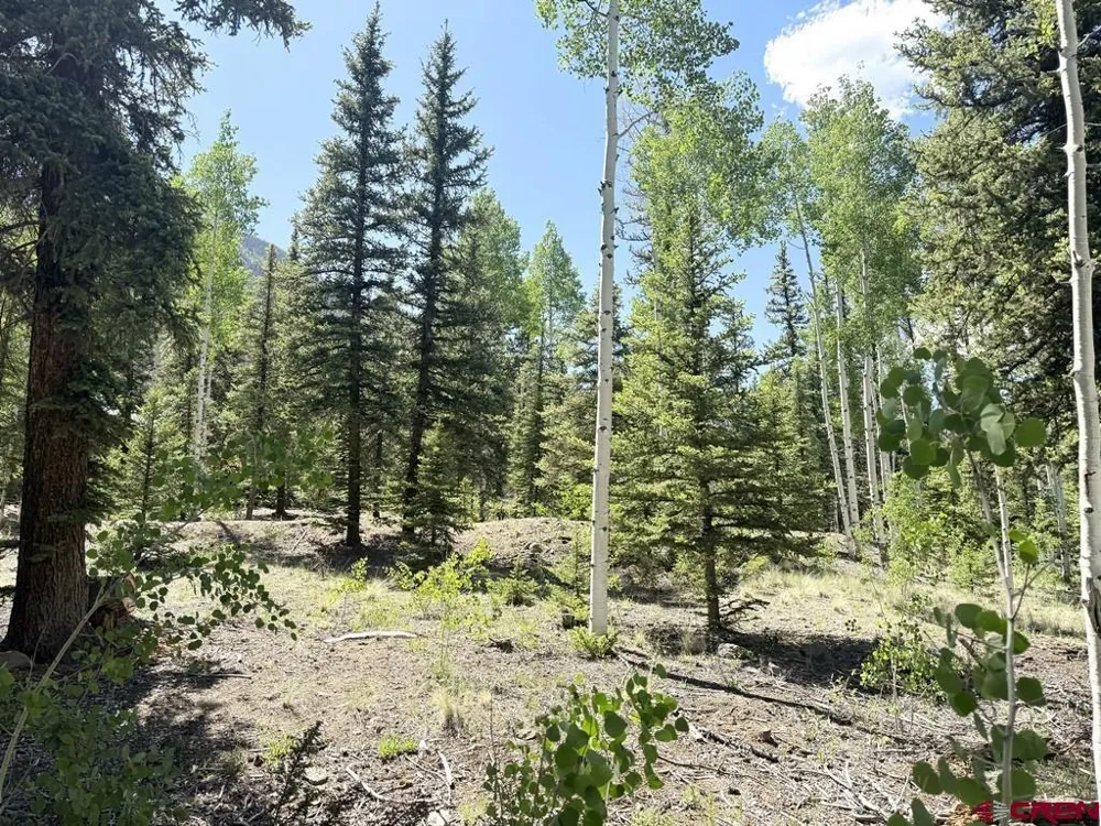 2621 Silver Coin Lane Lake City, CO 81235