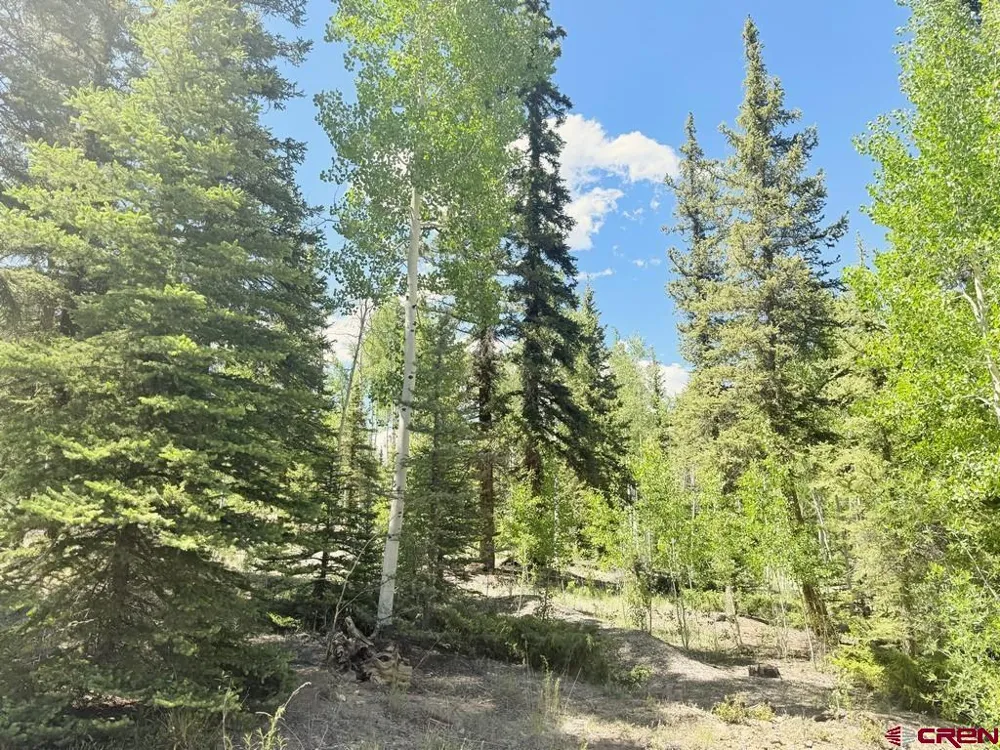 2621 Silver Coin Lane Lake City, CO 81235