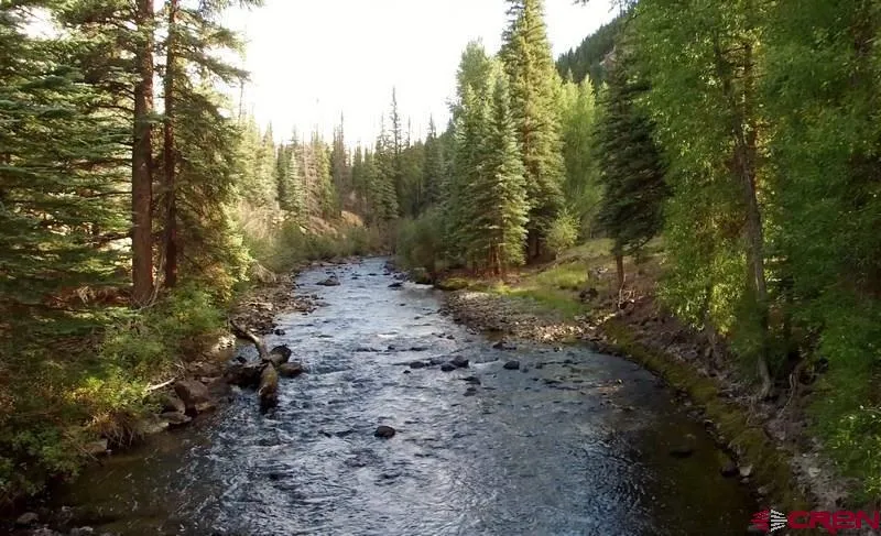 2621 Silver Coin Lane Lake City, CO 81235