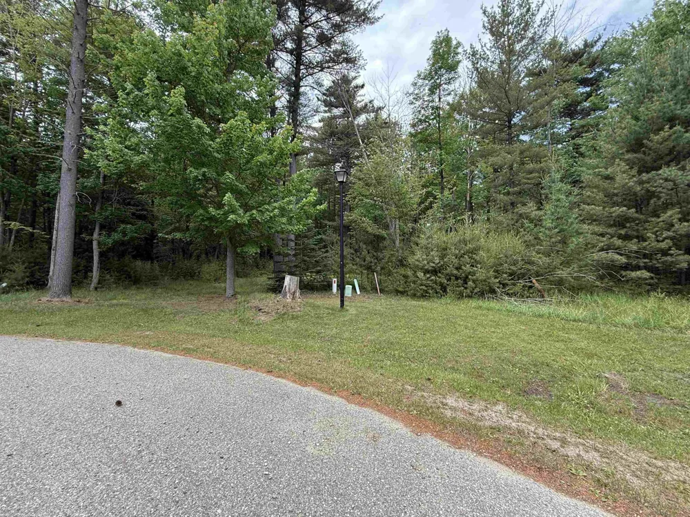 741 Manning Lane Baldwin Township, MI 48730