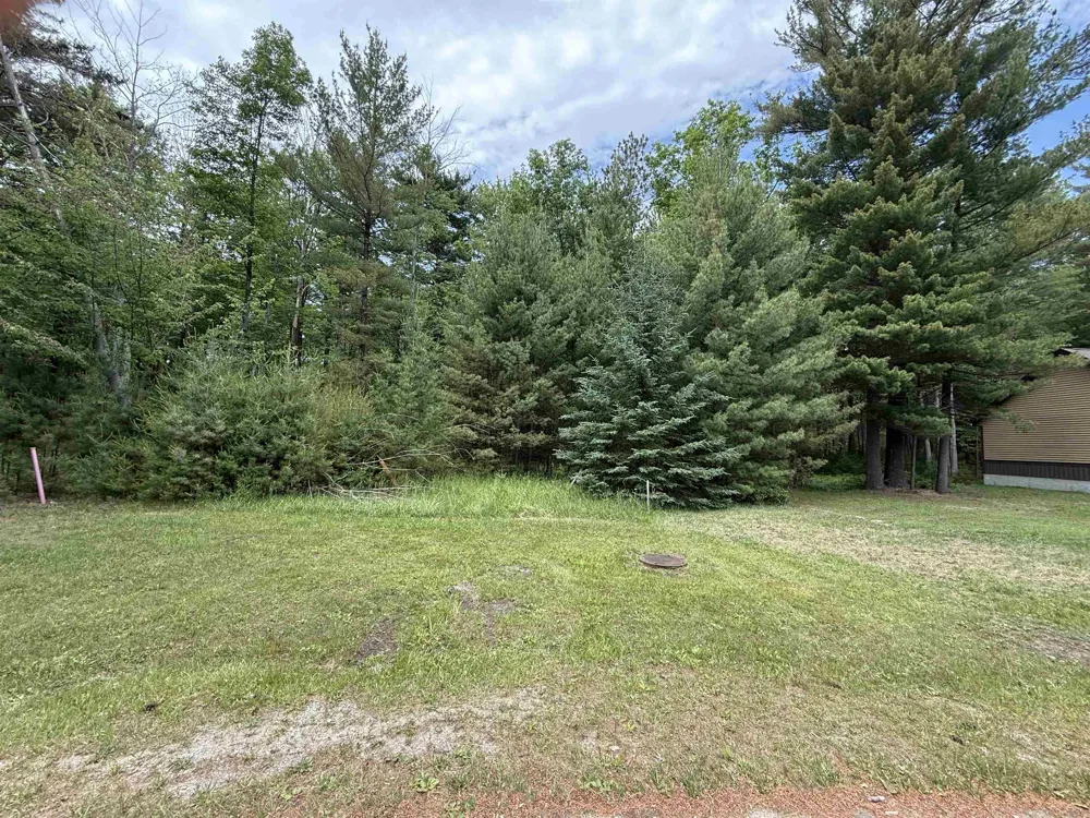 741 Manning Lane Baldwin Township, MI 48730
