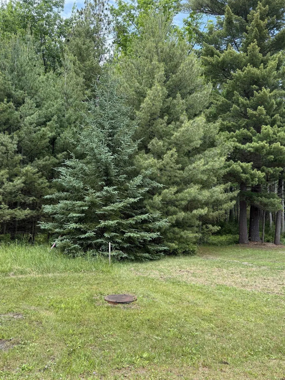 741 Manning Lane Baldwin Township, MI 48730