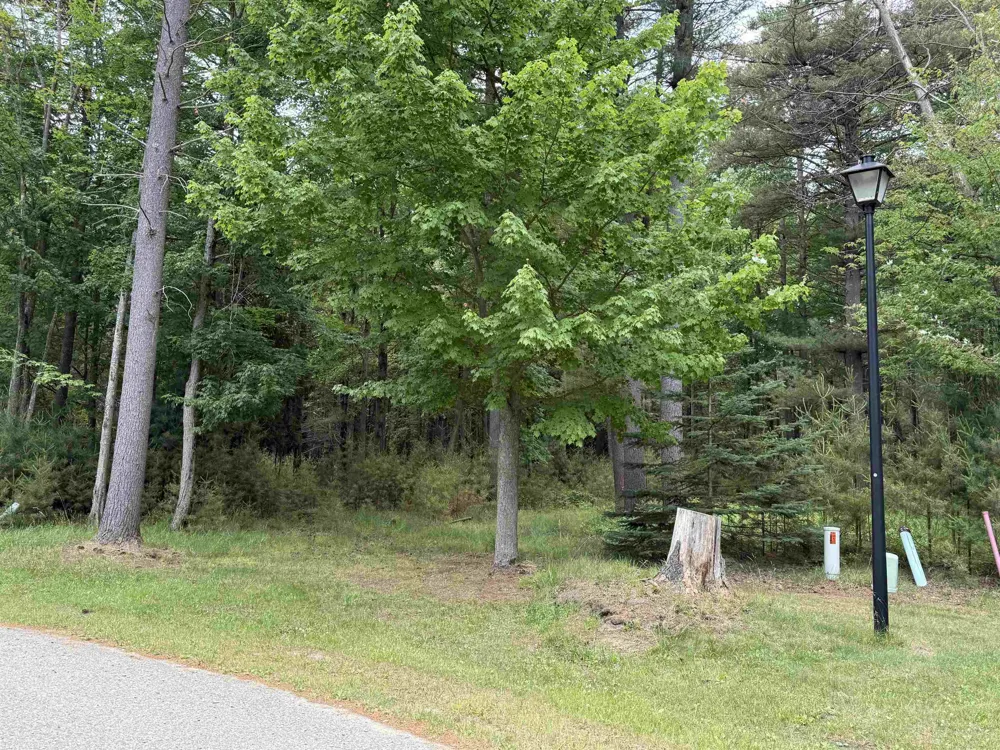 741 Manning Lane Baldwin Township, MI 48730