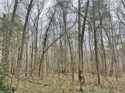 0 Pineview Road