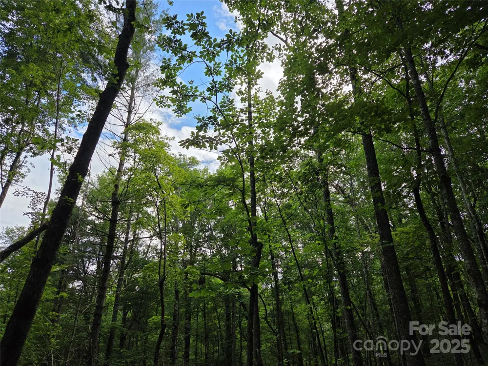 TBD Cedar Lane Brevard, NC 28712