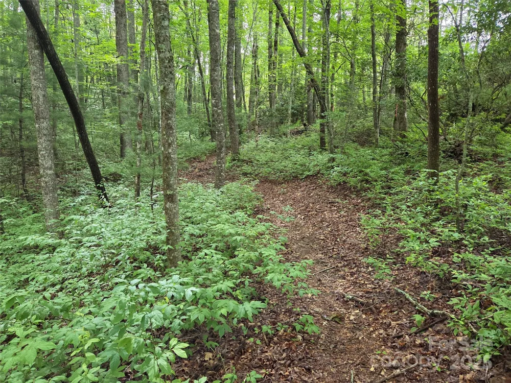 TBD Cedar Lane Brevard, NC 28712